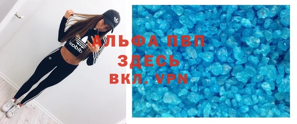 jwh Пересвет