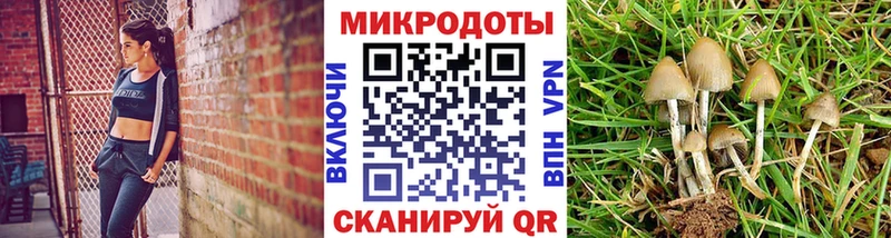 продажа наркотиков Горнозаводск мега вход Галлюциногенные грибы GOLDEN TEACHER